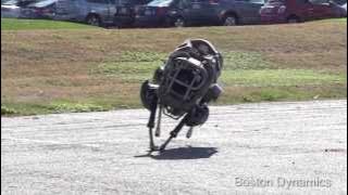 DT Daily (Dec. 18): Google buys robotic pets, Britain's porn filter, Avatar to have 3 sequels