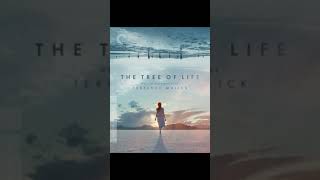8 Movies to watch during your spiritual awakening