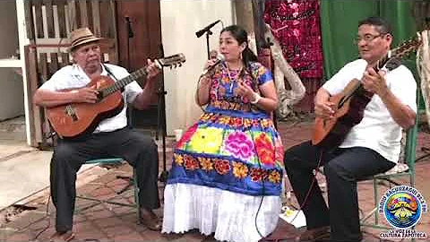 Tema: BACUUZAGUI
