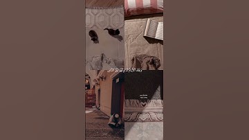 {ولا تهنوا ولا تحزنوا وأنتم الأعلون إن كنتم مؤمنين} القارئ ماهر المعيقلي 🍂🤎 #قرآن #quran