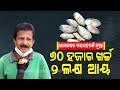 Special story  odisha farmer scripting success story with pearl farming