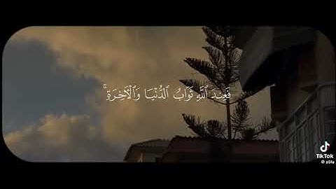 النساء | الآية - 134القارئ : #احمد_بن_طالب#قران #quran #quran_alkarim