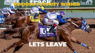 Ed Allred's Yearling Consignment 2023