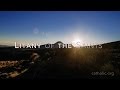 Image of Litany of Saints HD video