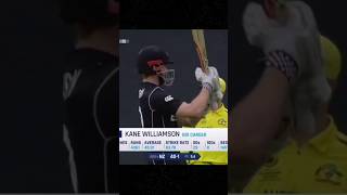kane Williamson the most unluckiest player on the earth 🥹 #cricket #trending