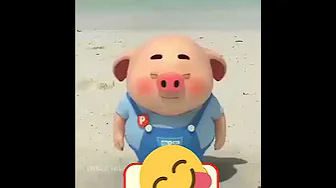Lagu babi lucu😂😂