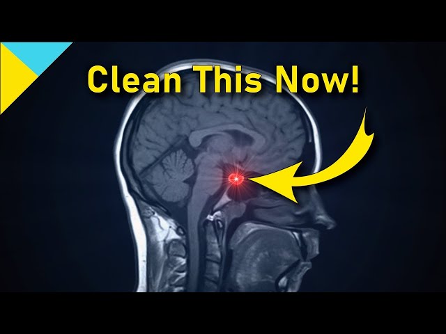 10100 Hertz: Heal Pituitary Gland ❯❯❯ WAIT TILL 6 Mins! • Quantum Miracle Formula Frequency class=