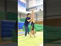 いろんな倒立練習中✨ #体操競技 #acrobatics #体操 #gymnastics #gymnast #体操選手 #女子選手 #gym #楽しむ
