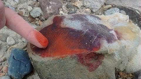 Intro Mudfossil University Orientation the evidence