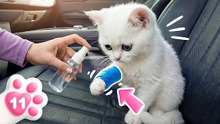 Yaramaz Kefir Yanlışlıkla Canını Acıtıyor Masha Hemen Yardım Ediyor. Eğlenceli Oyun Videosu.