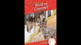 🐺 Wolf or Coyote? What's the Difference? | Fun Animal Facts
