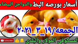 أسعار بورصة الدواجن والبط المولار والمسكوفي والسمان والرومي والكتاكيت اليوم/١٩_٣_٢٠٢١