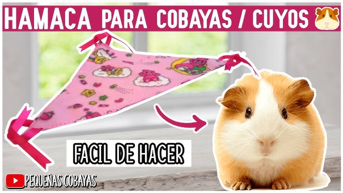 🏠 JAULAS / RECINTOS C&C / CYC PARA COBAYAS 🐹 Ventajas, materiales,  tutorial, diseños 