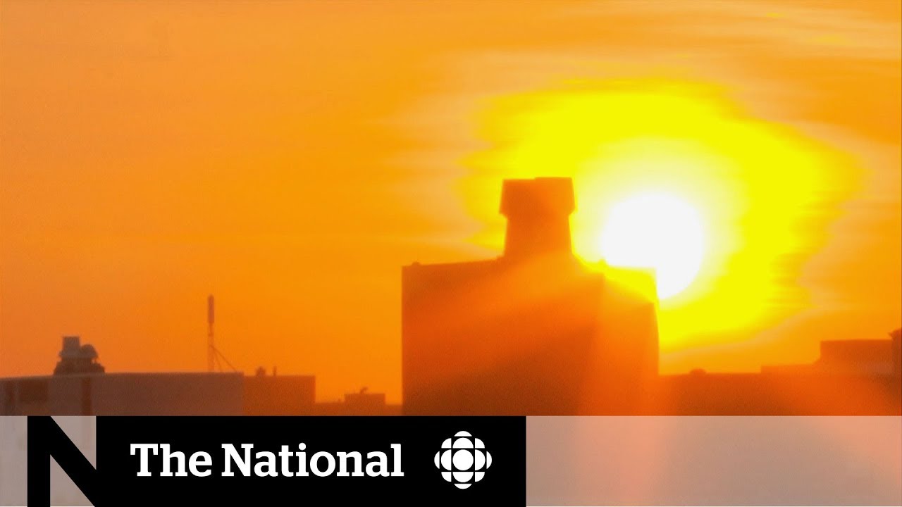 So Far, More Heat Waves Do Not Mean More Heat Deaths