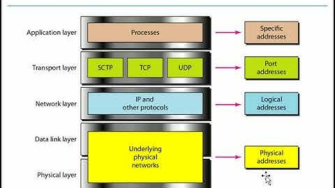Lecture 2  part 2  Network Layer  Logical address