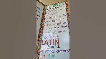 Cycle 3 Week 24 Science