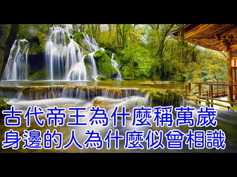 古代帝王为什么称万岁！ 身边的人为什么似曾相识？#金泉看世界#汉字藏天机#金泉#神传文字#