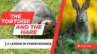 The Tortoise and the Hare: A Lesson in Perseverance | Classic Fables for Kids | Rayan Kids Studio"