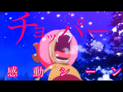 【MAD】ワンピース チョッパー感動シーン★水平線back number