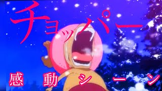 Mad ワンピース チョッパー感動シーン 水平線back Number Youtube