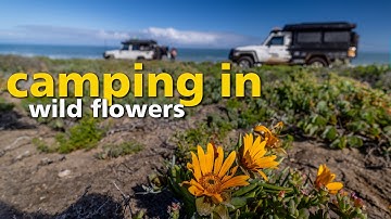 Camping in the flowers -- Overlanding adventure to Namaqualand, South Africa - Episode 1