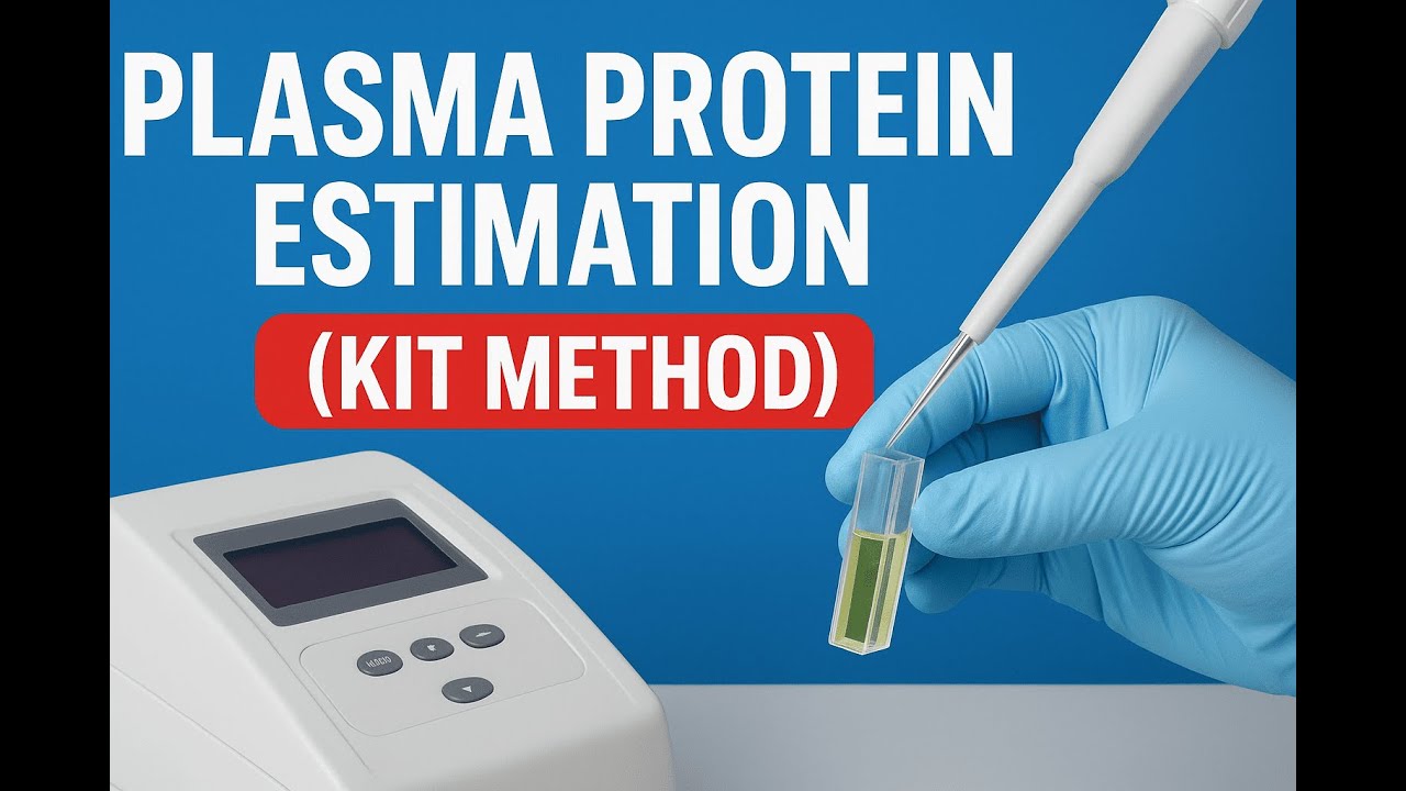 Определение белков плазмы (метод с использованием набора реагентов) | Практическое занятие по кли...