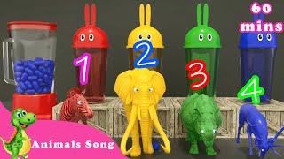Where Are You? & Baby Shark🦈🦈| The Animals Come Out Of The Cup| English Song For Kids