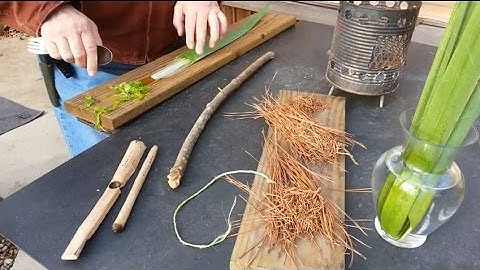 The Amazing Yucca... Fibers From Just One Leaf Makes A Bow Drill Fire and Then A Fire Roll Fire