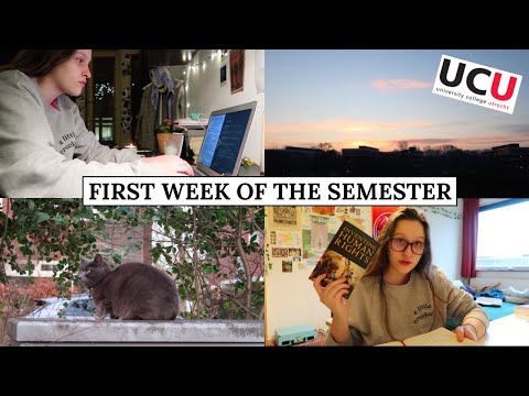 First Week of a New Semester! - A Week at University College Utrecht