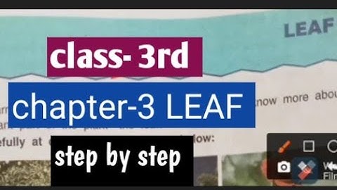 Leaf - chapter class-3rd DAV School by Good Nice 🎯