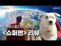 인간적인 슈퍼맨ㅣ≪슈퍼맨≫(2025) 리뷰ㅣ이대욜로기 28화(팟캐스트)