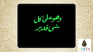 Arabic Calligraphy on @Procreate App in the Riqa Script | Digital Brush 5 screenshot 4