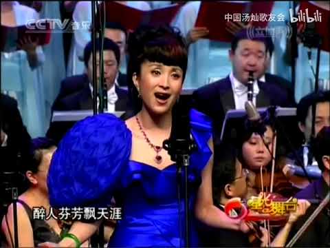 汤灿《盛开的牡丹》+《祝福祖国》