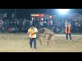 Gani malerkotla vs yudister baran kusti dangal  live upper dehlan himachal kusti dangal 27 oct