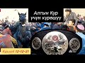 Аламан Улак Куршаб/ Алтын Кур/ Буйруган алат 💪(3-болум)