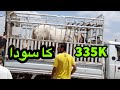 BARISH Ke Bad Ke RATES | sohrab goth cow mandi bakra eid 2021 qurbani, Karachi Pakistan