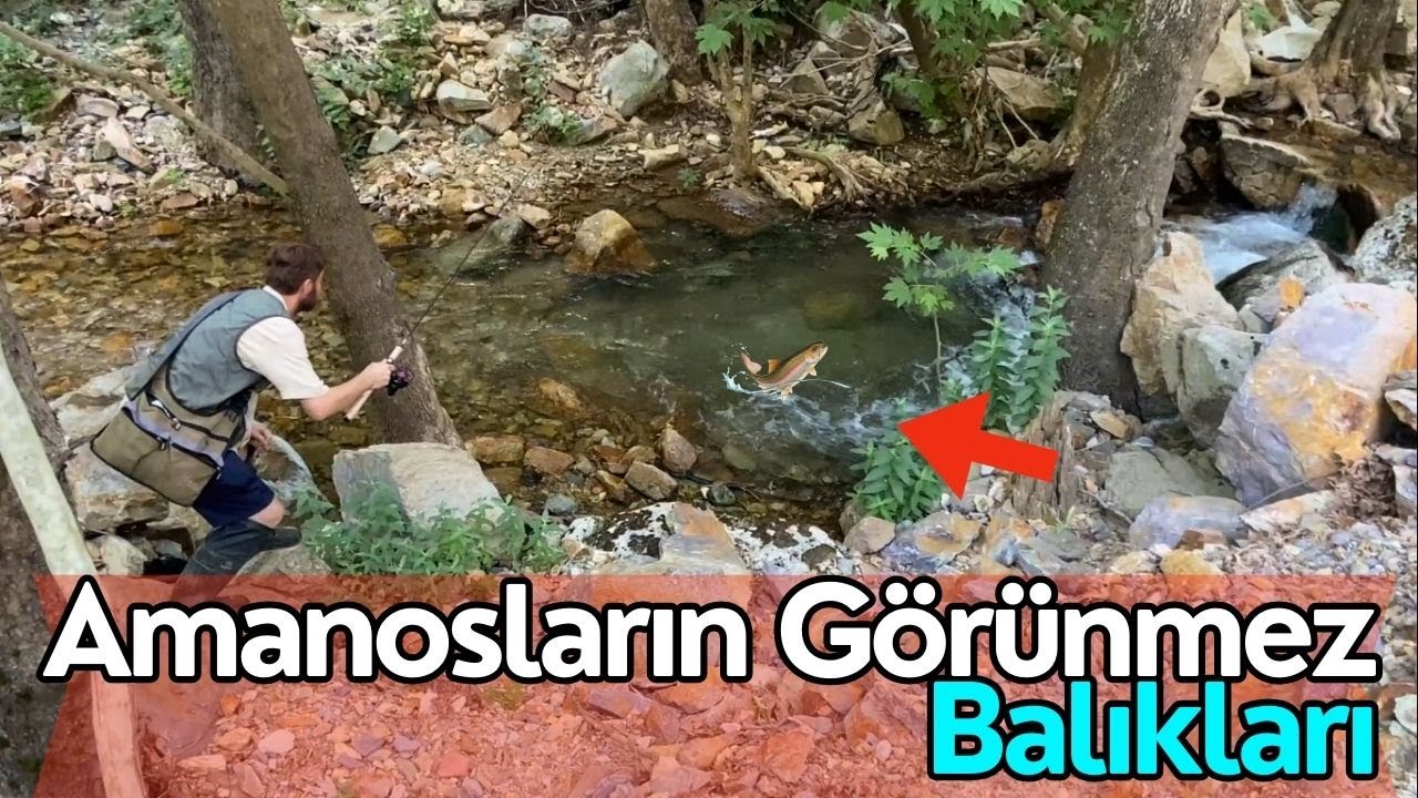 Amanos derelerinin görünmez alabalıklarını yakaladım ! Balık Avı - Alabalık Avı 2024