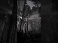 Paloma Faith - Only Love Can Hurt Like This | Lyrics | | aesthetic | slowed | | speed up| |
