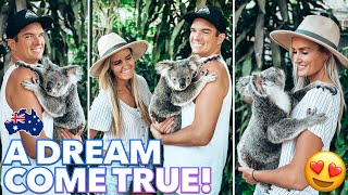 HOLDING A KOALA BEAR Encounter  Everything You Need to Know Visiting a Koala Sanctuary in Australia