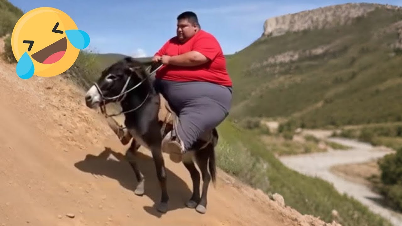 Try Not To Laugh 🤣 Top 100 Funniest Videos Ever 😂 | Funny Videos Compilation 2026 #58