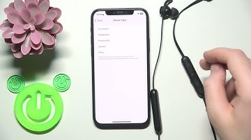 How To Set Device Type For Philips TAE1205 On iPhone
