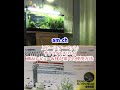 スドー(スターペット)サテライトスリムM商品レビュー＆我が家での使用方法( #アクアリウム #熱帯魚 #稚魚 #産卵箱 #水合わせ #スドー #SUDO #サテライトスリムM )