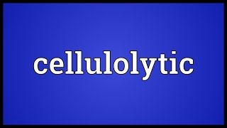 Cellulolytic Meaning