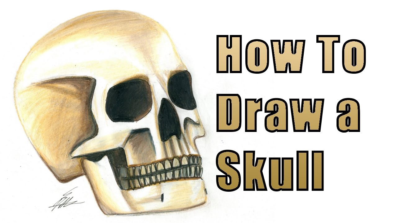 How To Draw A Realistic Skull - YouTube