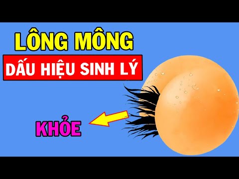 Video: Eremogone Có Lông