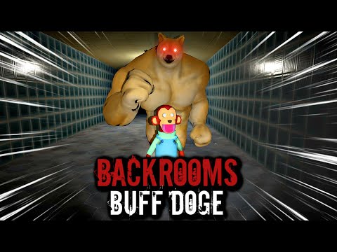 Buff Doge in Backrooms: Level 1. Part 1: Play Online For Free On Playhop