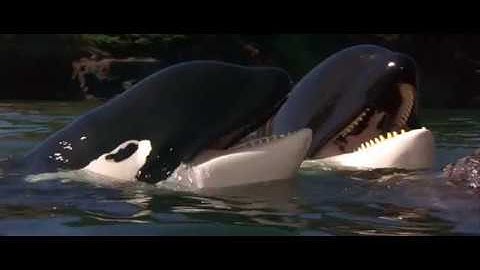 04. Connection (Free Willy 2 / 1995) Soundtrack /With voices/