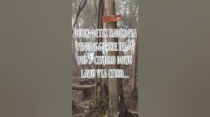 Pendakian Gunung Lawu Via Candi Cetho #gununglawu #lawu #candicetho #mistis #pendaki #misteri