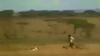 Kudos this man saving deer🦌 from lion🦁