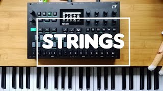 Elektron Tonverk orchestral, strings JAM dawless 01/25/11 12:30